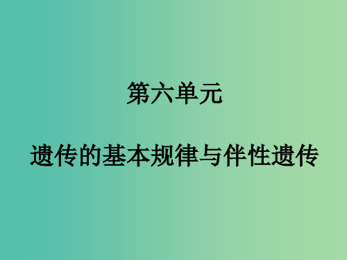 高考生物一轮复习 第六单元 遗传的基本规律与伴性遗传课件