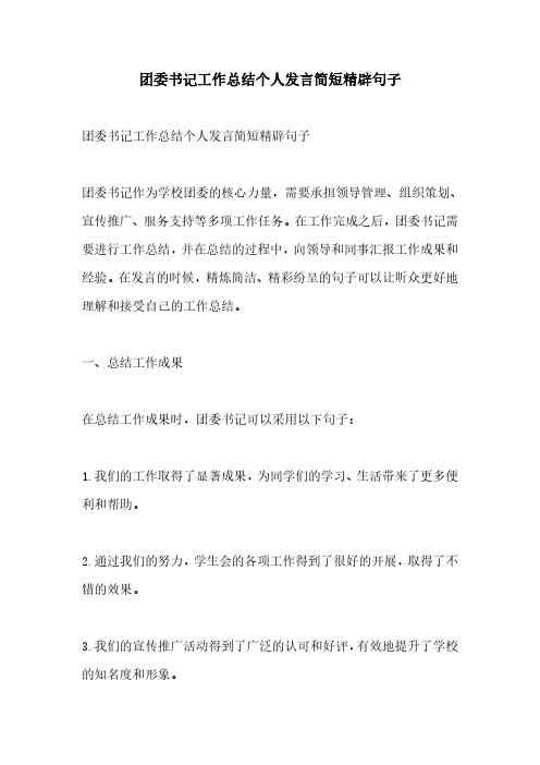 团委书记工作总结个人发言简短精辟句子