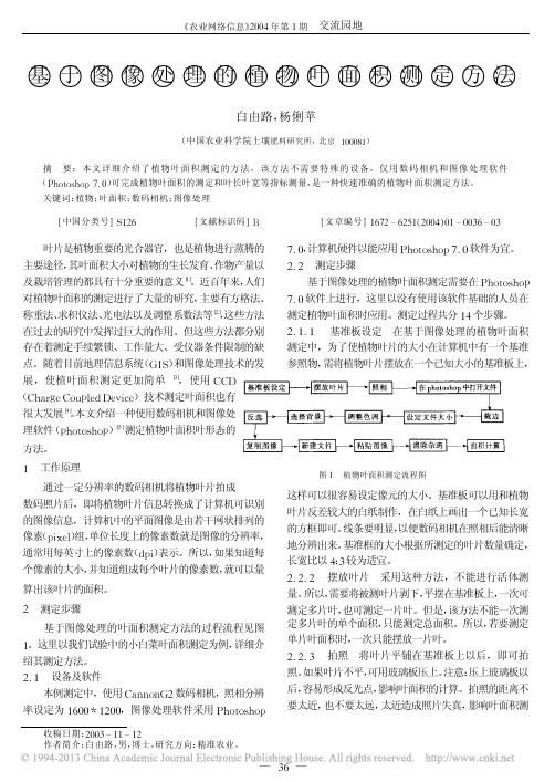 基于图像处理的植物叶面积测定方法_白由路