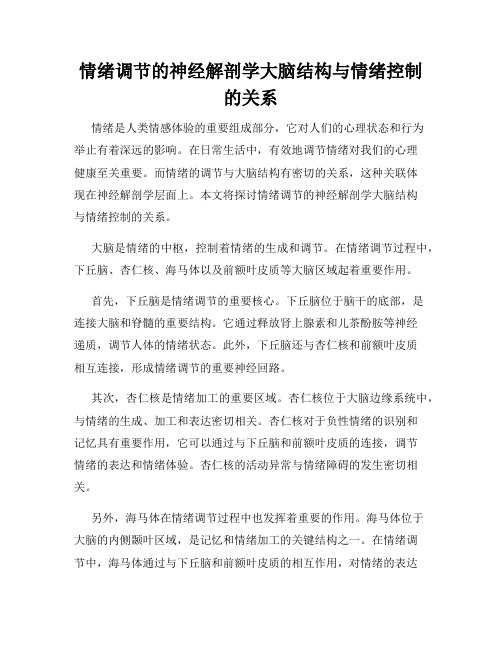 情绪调节的神经解剖学大脑结构与情绪控制的关系