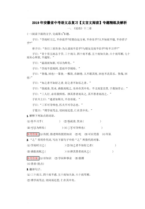 2019年安徽省中考语文总复习【文言文阅读】专题精练及解析