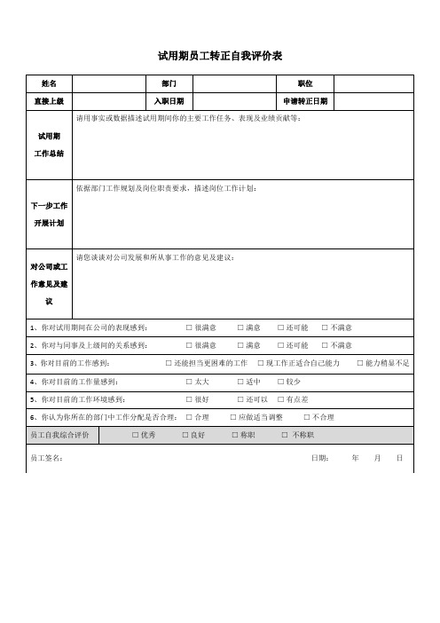 试用期员工转正自我评价表