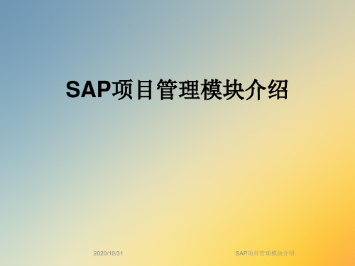 SAP项目管理模块介绍