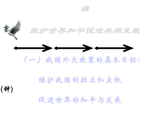 维护世界和平,促进共同发展PPT课件6