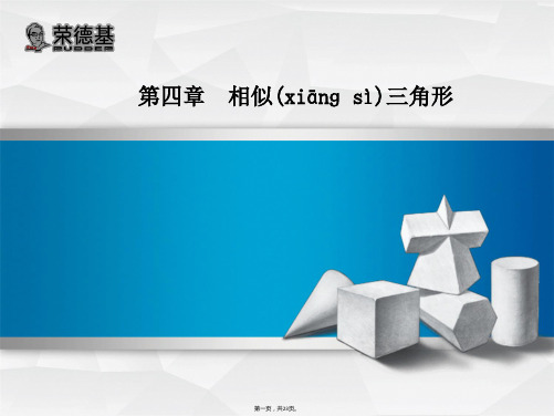 《浙教版数学九年级上册》4.3  相似三角形