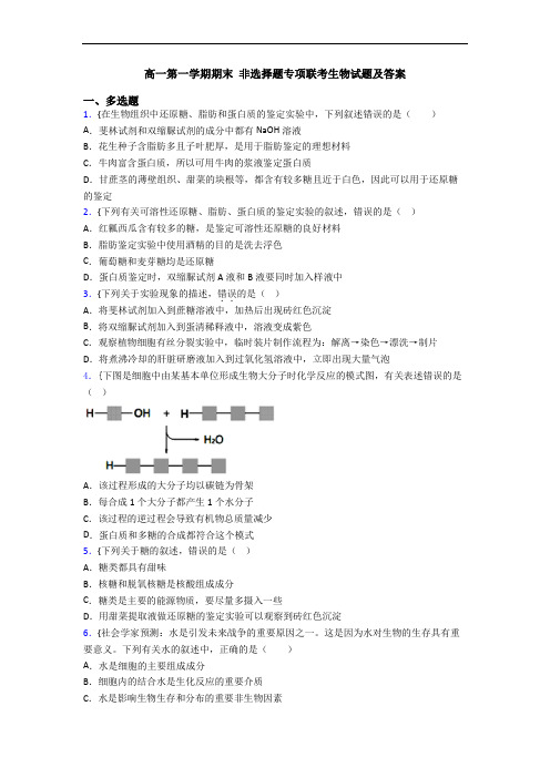 高一第一学期期末 非选择题专项联考生物试题及答案