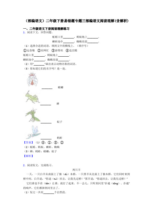 二年级(部编语文)二年级下册易错题专题三部编语文阅读理解(含解析)