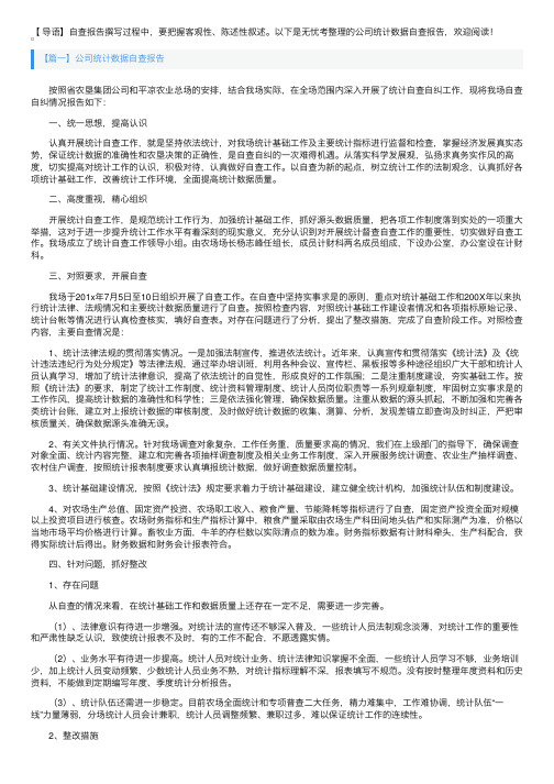 公司统计数据自查报告