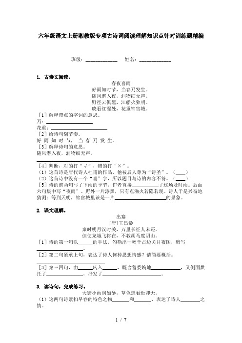 六年级语文上册湘教版专项古诗词阅读理解知识点针对训练题精编