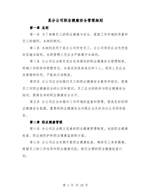 某分公司职业健康安全管理细则（3篇）