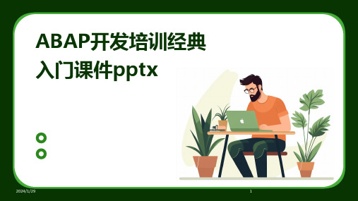 ABAP开发培训经典入门课件pptx(2024)