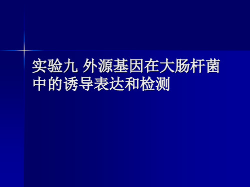 外源基因在大肠杆菌中的诱导表达和检测-jgh