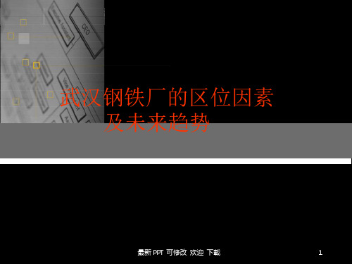 武汉钢铁厂区位因素及未来发展趋势课件