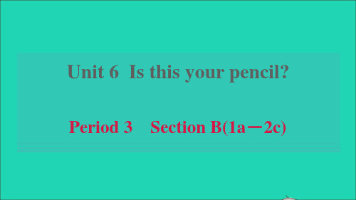 六年级英语上册Unit6Period3SectionB1a_2c习题鲁教版五四制