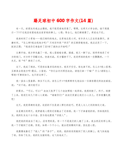 踢足球初中600字作文(14篇)