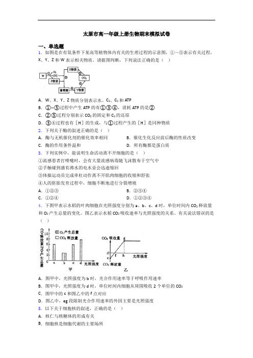 太原市高一年级上册生物期末模拟试卷