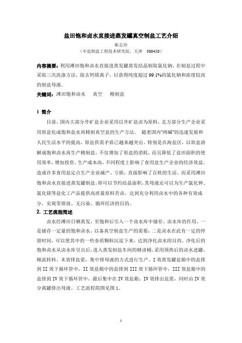 12.EN-CN-盐田饱和卤水直接进蒸发罐真空制盐工艺