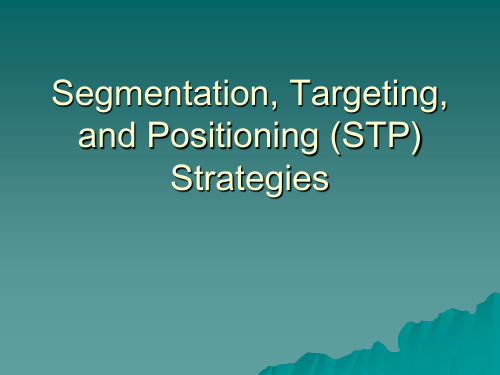 Segmentation, Targeting, and Positioning (STP