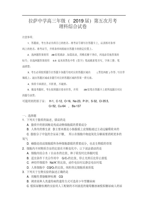 西藏拉萨中学2019节高三第五次月考理科综合试卷