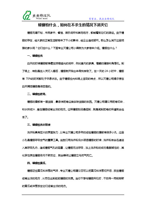 蟑螂怕什么,如何在不杀生的情况下消灭它