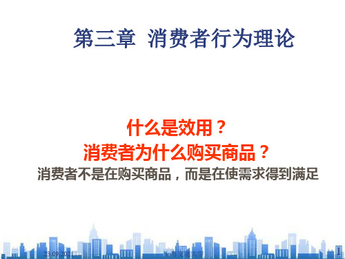 消费者行为理论相关资料(ppt 44页)PPT学习课件