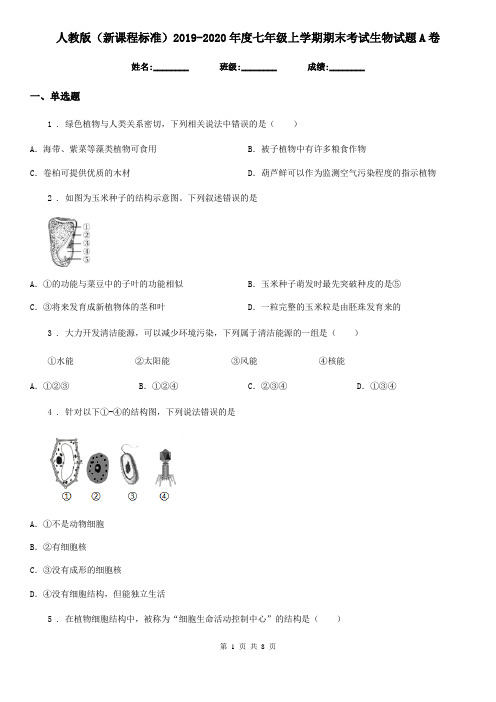 人教版(新课程标准)2019-2020年度七年级上学期期末考试生物试题A卷(练习)