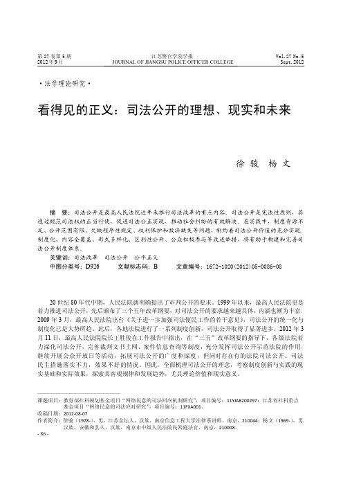 看得见的正义：司法公开的理想、现实和未来