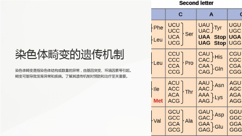 染色体畸变的遗传析