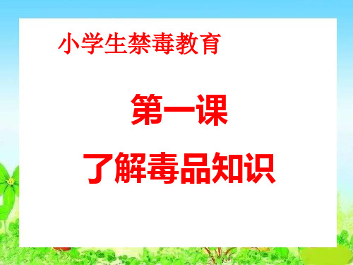 小学生禁毒教育第一课《了解毒品知识》PPT