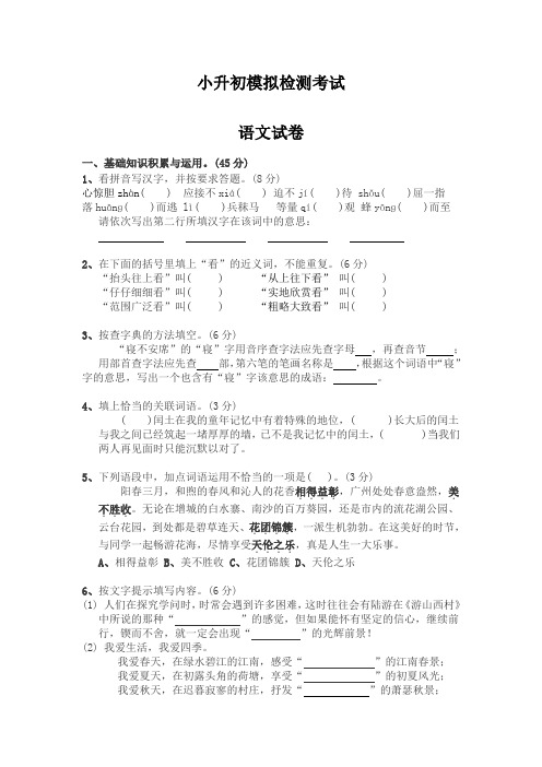 (精品)2020六年级小升初语文模拟试卷及答案