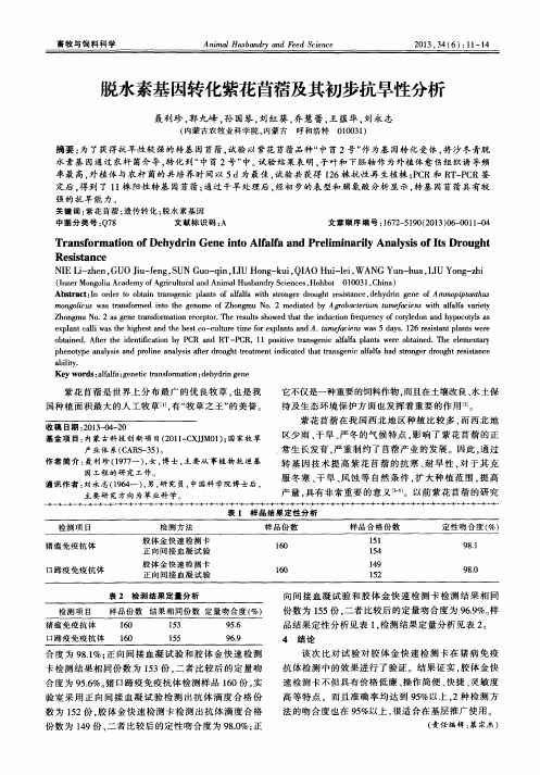 脱水素基因转化紫花苜蓿及其初步抗旱性分析