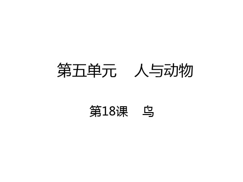 2018学年人教版七年级语文上册课件：第18课 鸟 (共11张PPT)