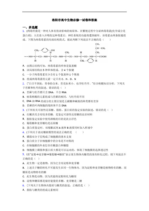 洛阳市高中生物必修一试卷和答案