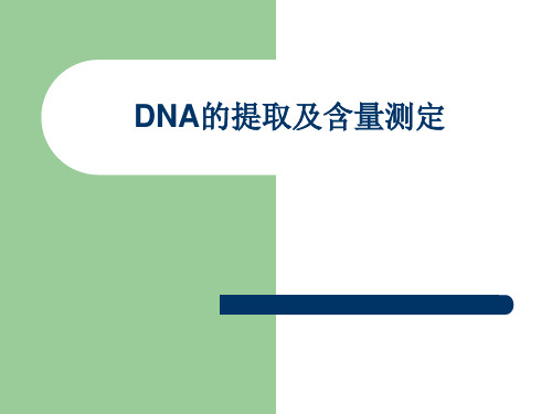 DNA的提取及含量测定