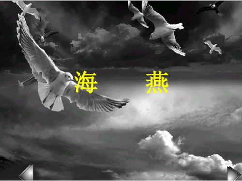海燕(高尔基)省一等奖课件