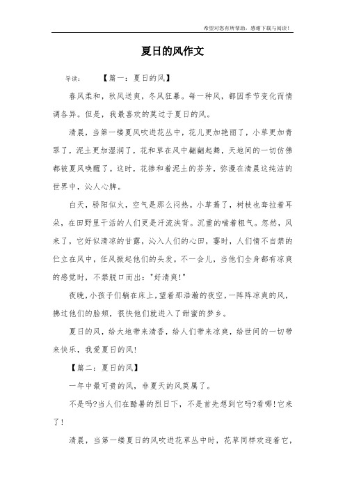 夏日的风作文