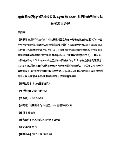 猪囊尾蚴西昌分离株线粒体Cytb和nad4基因的序列测定与种系发育分析