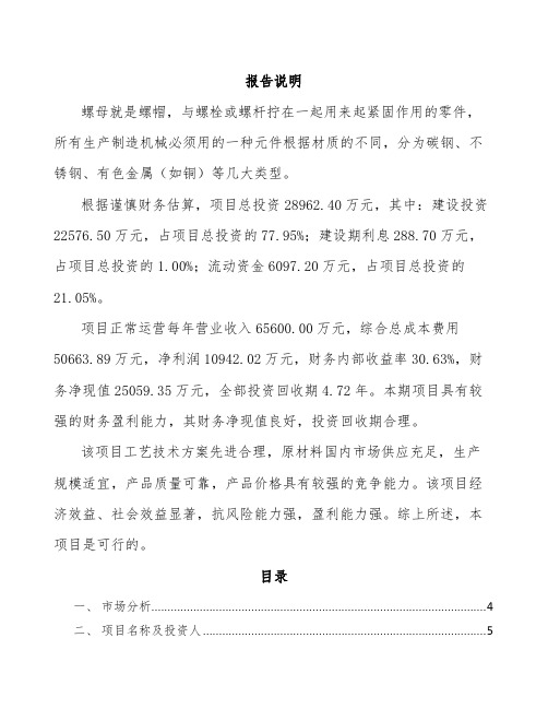 螺母项目策划方案