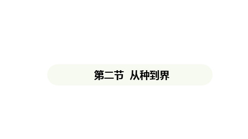 2.4.2从种到界课件+2024-2025学年人教版生物七年级上册