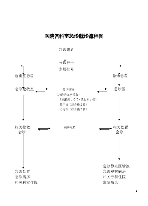 医院各科室急诊就诊流程图