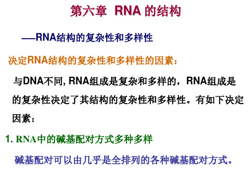 核酸化学RNA的结构