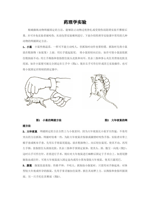 药理学实验