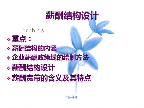 薪酬结构设计最新版本