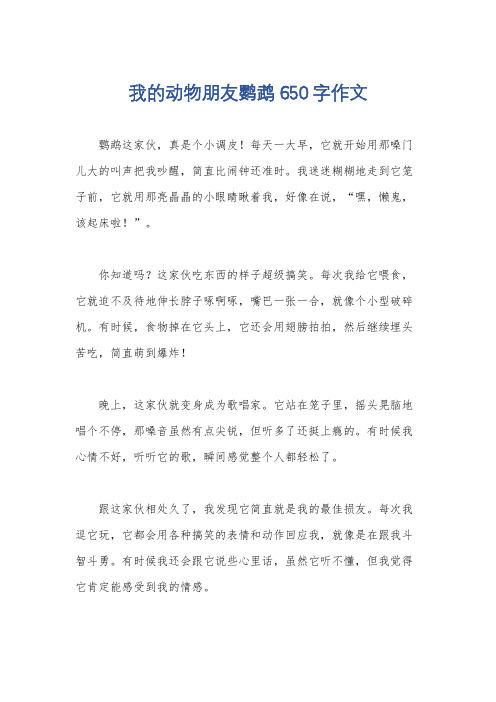 我的动物朋友鹦鹉650字作文