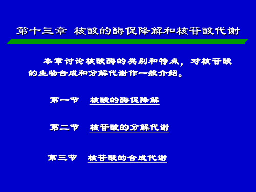 核酸的酶促降解和核苷酸代谢