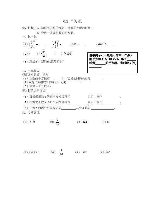 人教版七年级下册数学导学案设计:6.1 平方根(无答案)