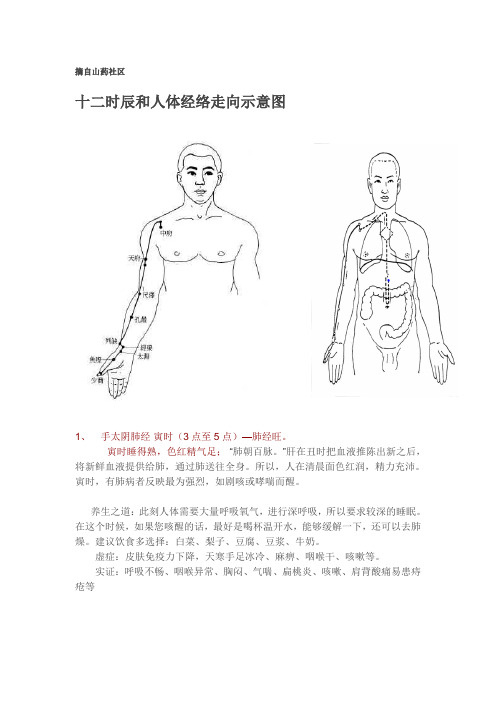 十二时辰和人体经络走向示意图