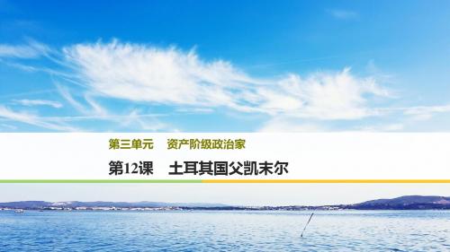 2017-2018学年高中历史岳麓版选修四课件：第三单元 资产阶级政治家 第12课