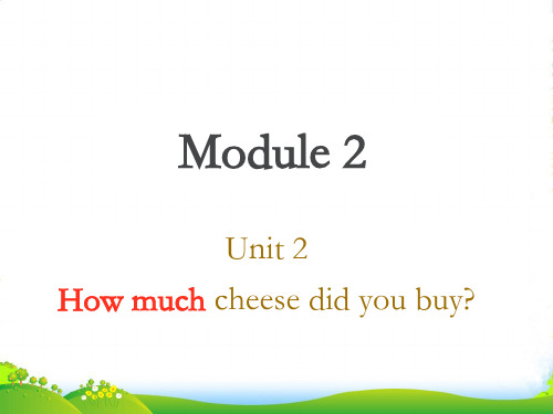 新外研版五年级英语上册M2U2 How much cheese did you buy？