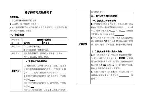 种子的结构实验报告